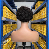 Natural Brazilian curly pixie wig