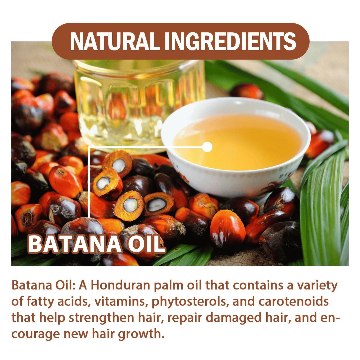 Honduran Batana Oil organic ingredients